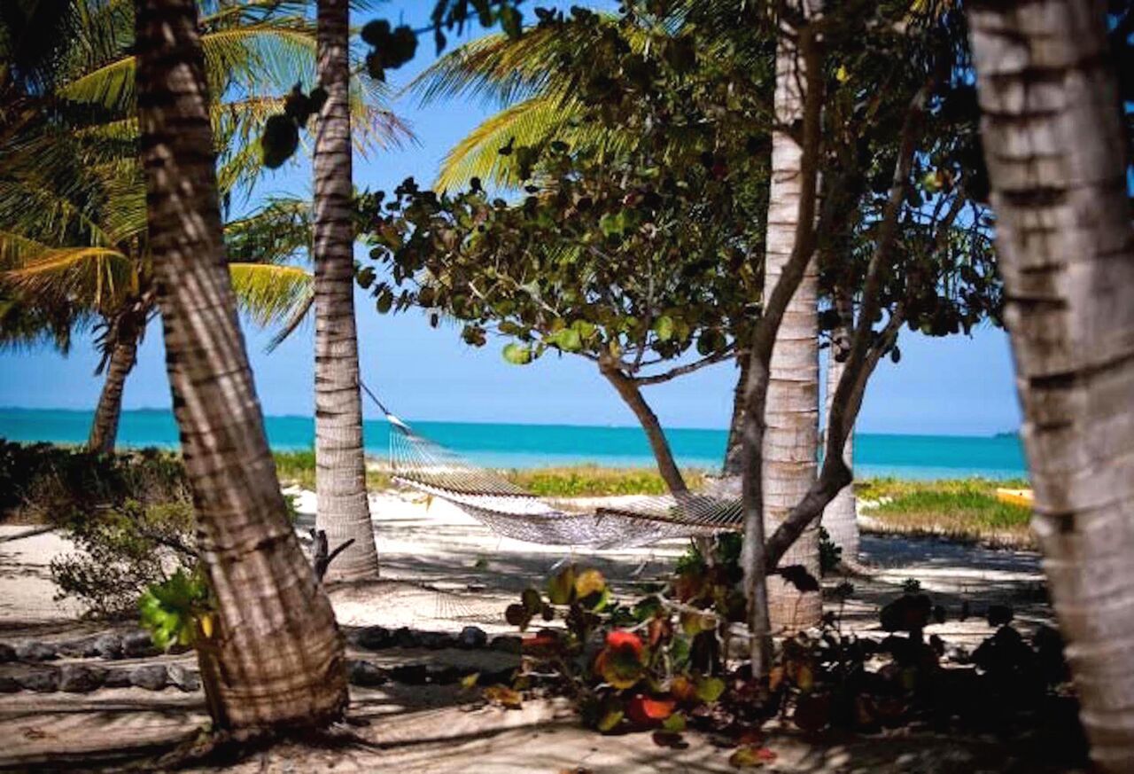 Kamalame Cay Hotel Staniard Creek Buitenkant foto